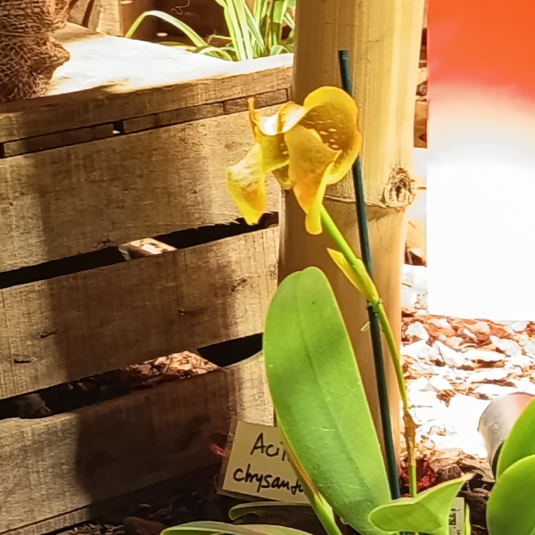 Fontfroide_2025